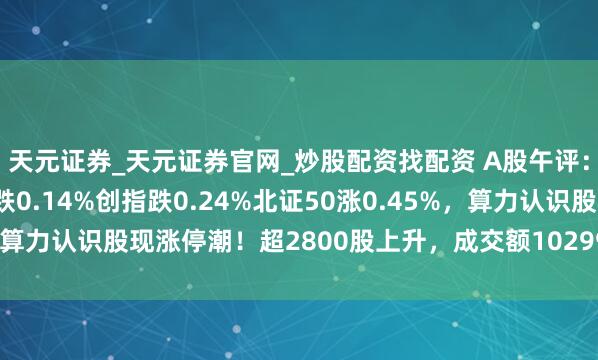 天元证券_天元证券官网_炒股配资找配资 A股午评：指数窄幅震憾，沪指跌0.14%创指跌0.24%北证50涨0.45%，算力认识股现涨停潮！超2800股上升，成交额10299亿放量811亿
