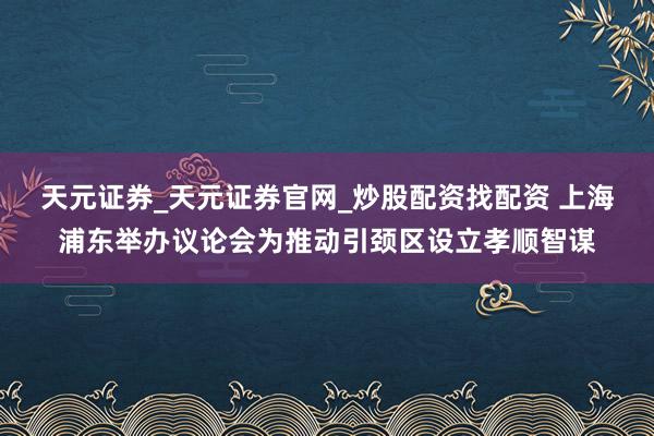 天元证券_天元证券官网_炒股配资找配资 上海浦东举办议论会为推动引颈区设立孝顺智谋